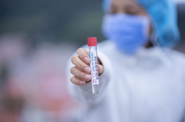 В Казахстане за сутки зарегистрировано 753 новых случая заражения COVID-19
