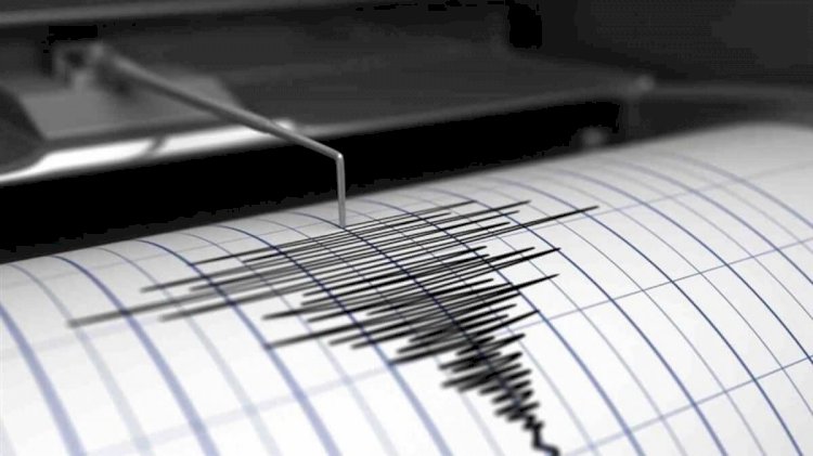 Землетрясение зафиксировали в 200 км на юго-восток от Алматы