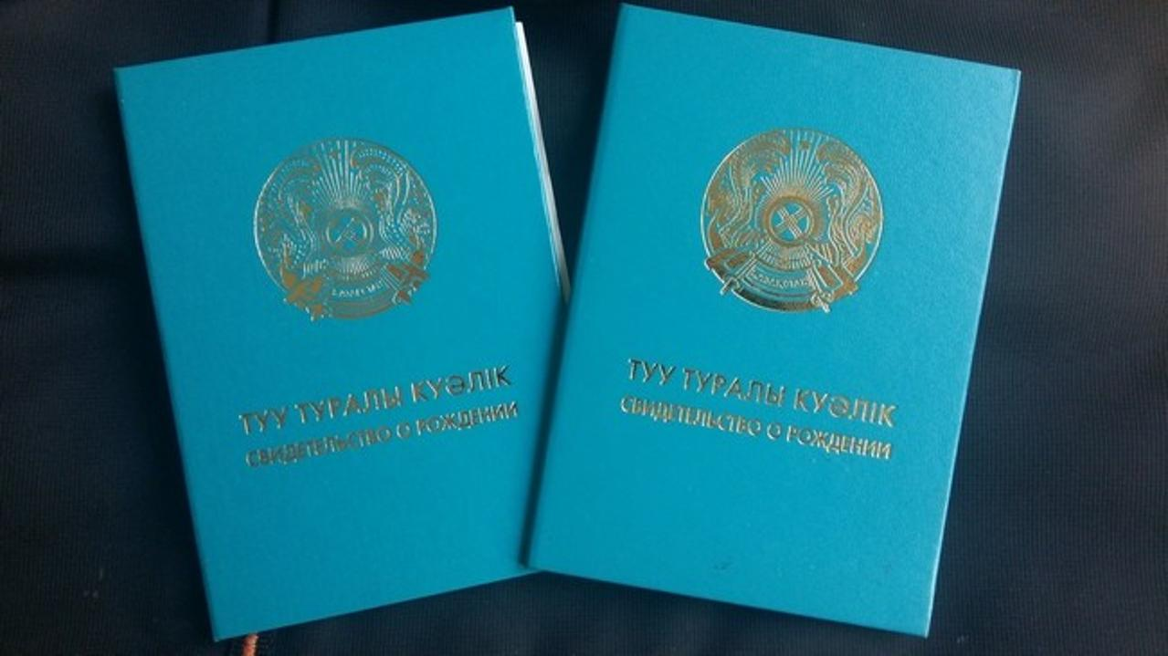 Представитель Уполномоченного помог оформить свидетельства о рождении троим детям в Алматинской области